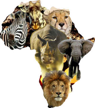 Africa