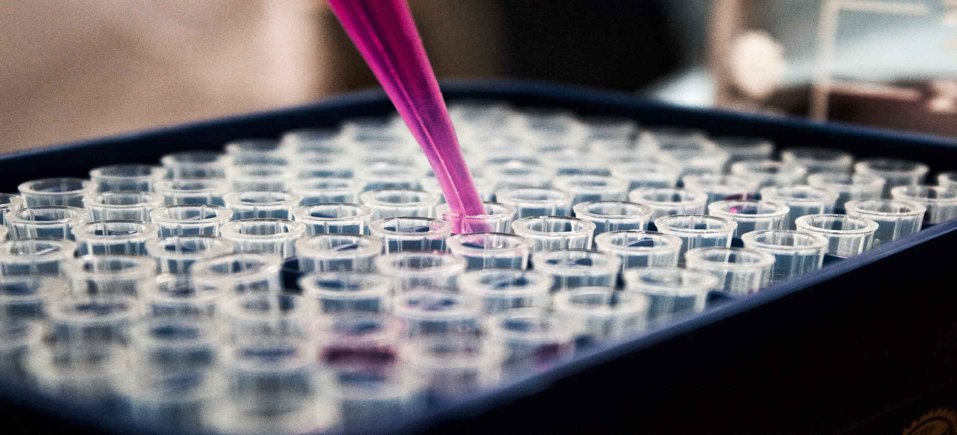 Pathology laboratory samples